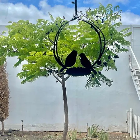 Loft La Cueva De Pajaros Διαμέρισμα